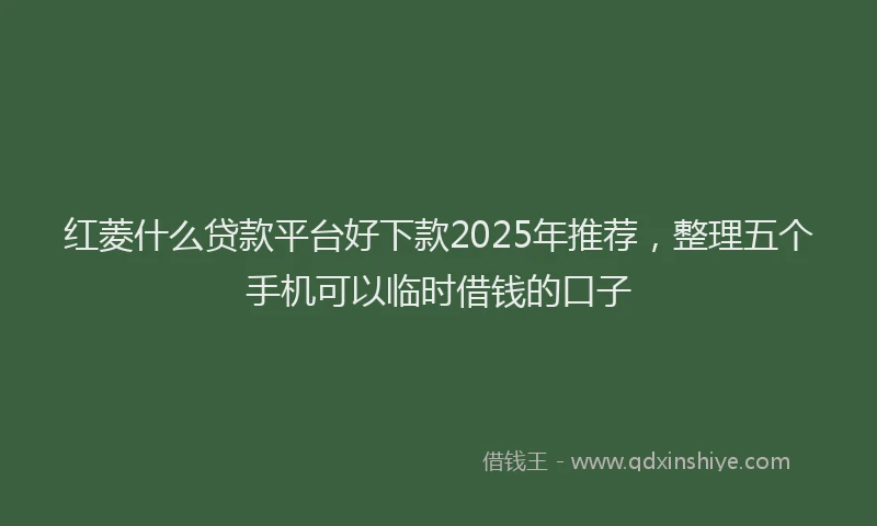红菱什么贷款平台好下款2025年推荐，整理五个手机可以临时借钱的口子