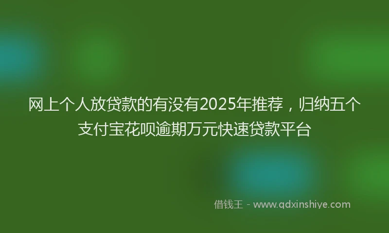网上个人放贷款的有没有2025年推荐，归纳五个支付宝花呗逾期万元快速贷款平台