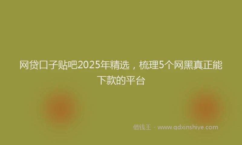 网贷口子贴吧2025年精选，梳理5个网黑真正能下款的平台