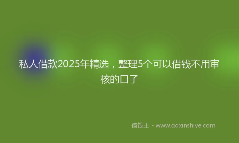 私人借款2025年精选，整理5个可以借钱不用审核的口子