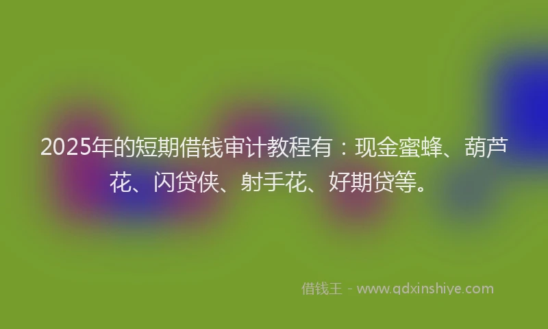 2025年的短期借钱审计教程有：现金蜜蜂、葫芦花、闪贷侠、射手花、好期贷等。
