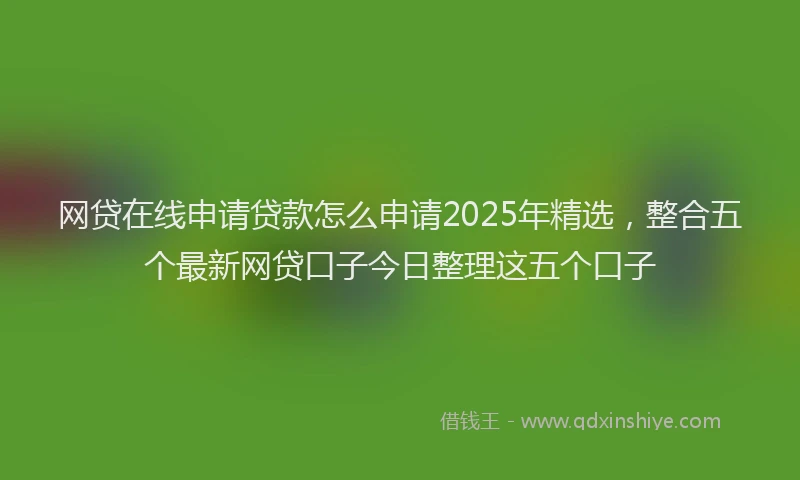 网贷在线申请贷款怎么申请2025年精选，整合五个最新网贷口子今日整理这五个口子