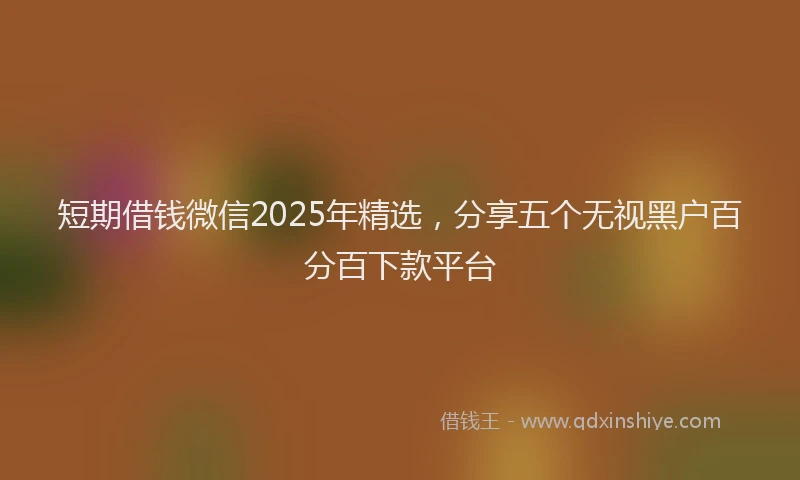 短期借钱微信2025年精选，分享五个无视黑户百分百下款平台