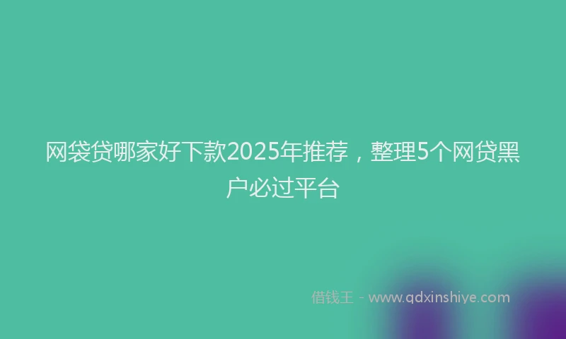 网袋贷哪家好下款2025年推荐，整理5个网贷黑户必过平台