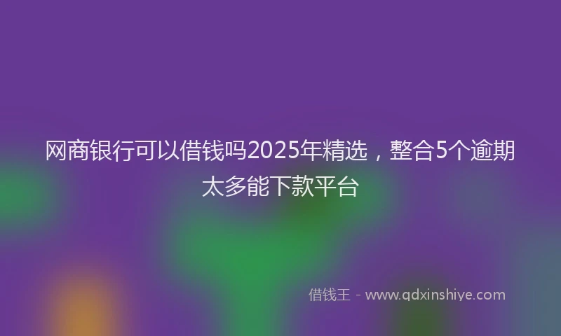 网商银行可以借钱吗2025年精选，整合5个逾期太多能下款平台