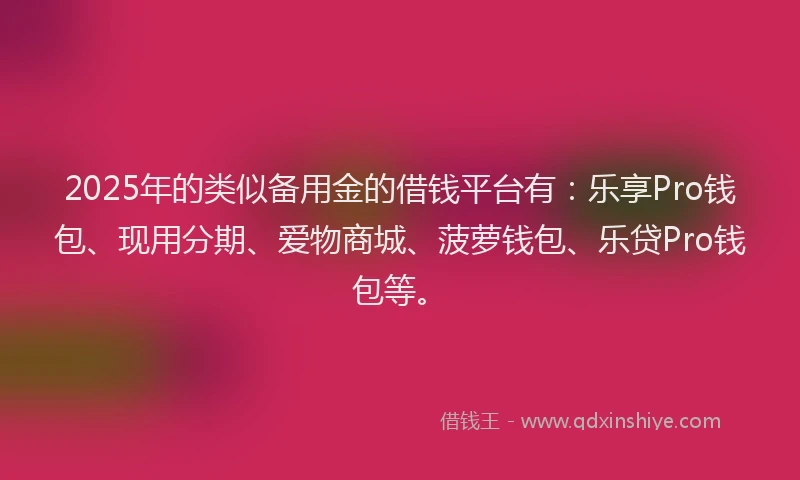 2025年的类似备用金的借钱平台有：乐享Pro钱包、现用分期、爱物商城、菠萝钱包、乐贷Pro钱包等。