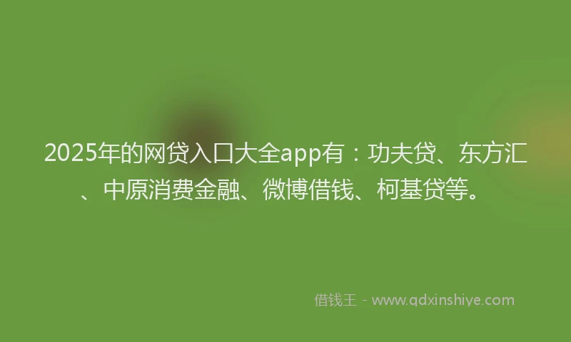2025年的网贷入口大全app有：功夫贷、东方汇、中原消费金融、微博借钱、柯基贷等。