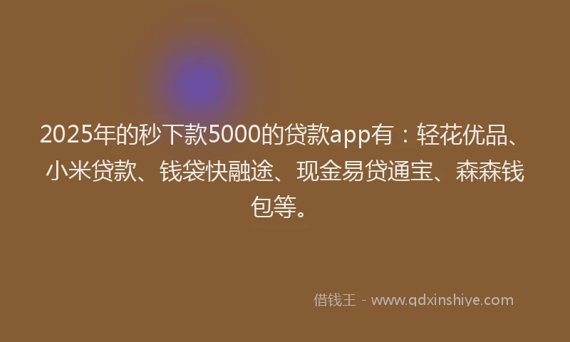 2025年的秒下款5000的贷款app有：轻花优品、小米贷款、钱袋快融途、现金易贷通宝、森森钱包等。