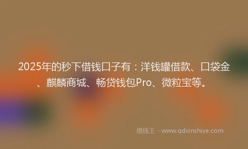 2025年的秒下借钱口子有：洋钱罐借款、口袋金、麒麟商城、畅贷钱包Pro、微粒宝等。