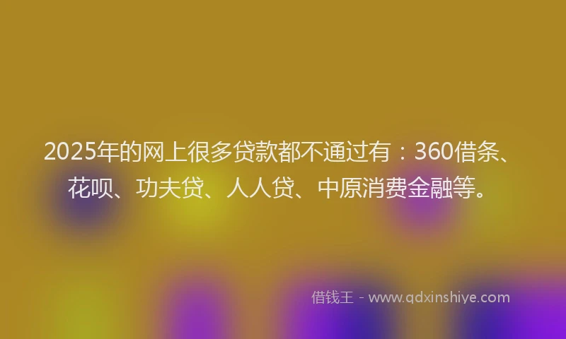 2025年的网上很多贷款都不通过有：360借条、花呗、功夫贷、人人贷、中原消费金融等。