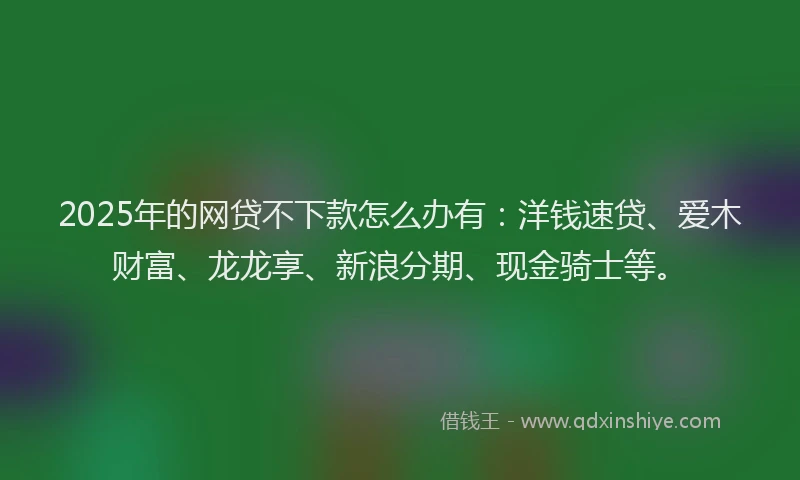 2025年的网贷不下款怎么办有：洋钱速贷、爱木财富、龙龙享、新浪分期、现金骑士等。