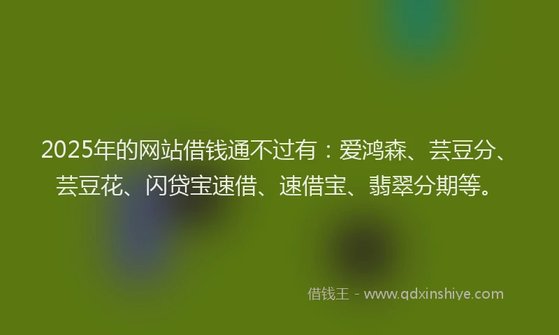 2025年的网站借钱通不过有：爱鸿森、芸豆分、芸豆花、闪贷宝速借、速借宝、翡翠分期等。
