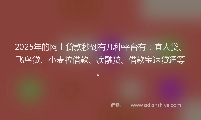 2025年的网上贷款秒到有几种平台有：宜人贷、飞鸟贷、小麦粒借款、疾融贷、借款宝速贷通等。