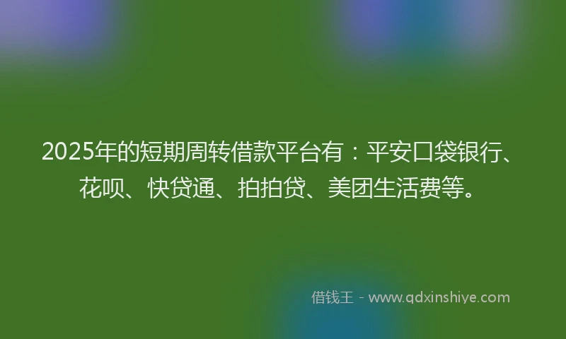2025年的短期周转借款平台有：平安口袋银行、花呗、快贷通、拍拍贷、美团生活费等。