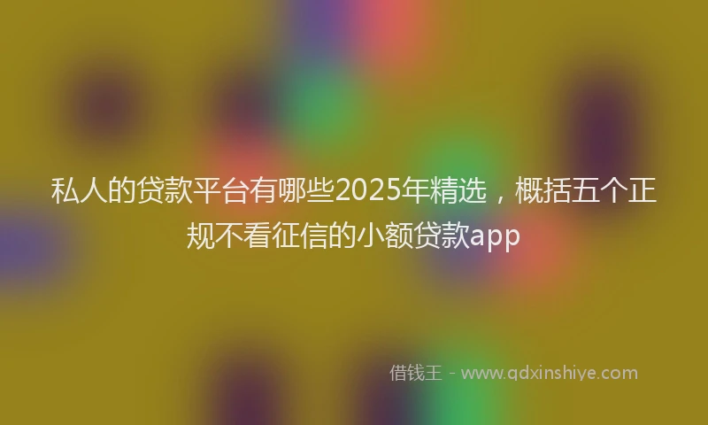 私人的贷款平台有哪些2025年精选，概括五个正规不看征信的小额贷款app