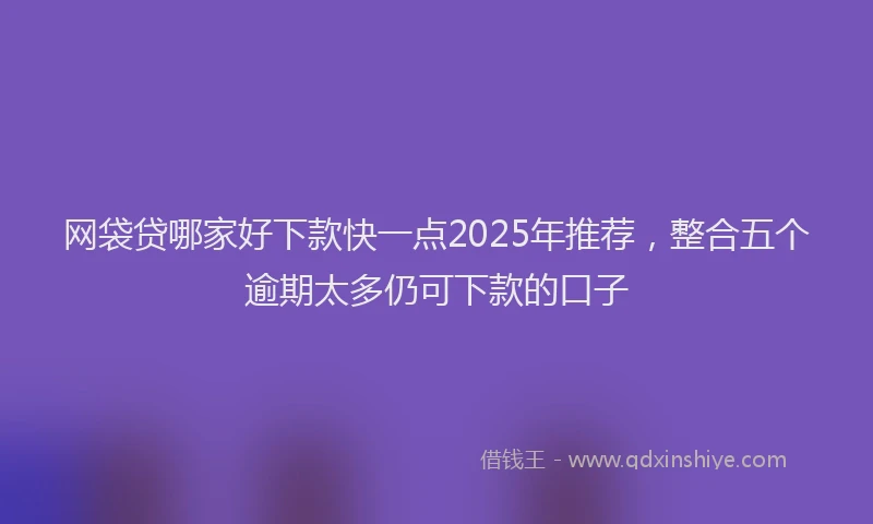 网袋贷哪家好下款快一点2025年推荐，整合五个逾期太多仍可下款的口子