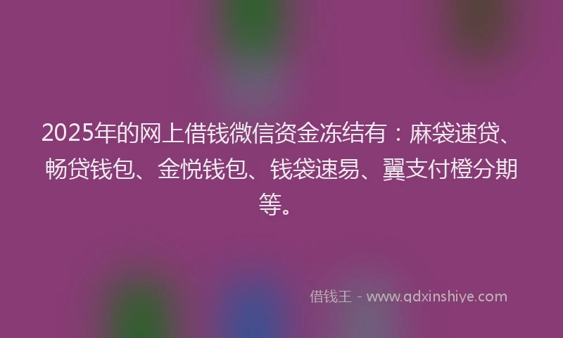 2025年的网上借钱微信资金冻结有：麻袋速贷、畅贷钱包、金悦钱包、钱袋速易、翼支付橙分期等。