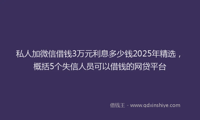 私人加微信借钱3万元利息多少钱2025年精选，概括5个失信人员可以借钱的网贷平台