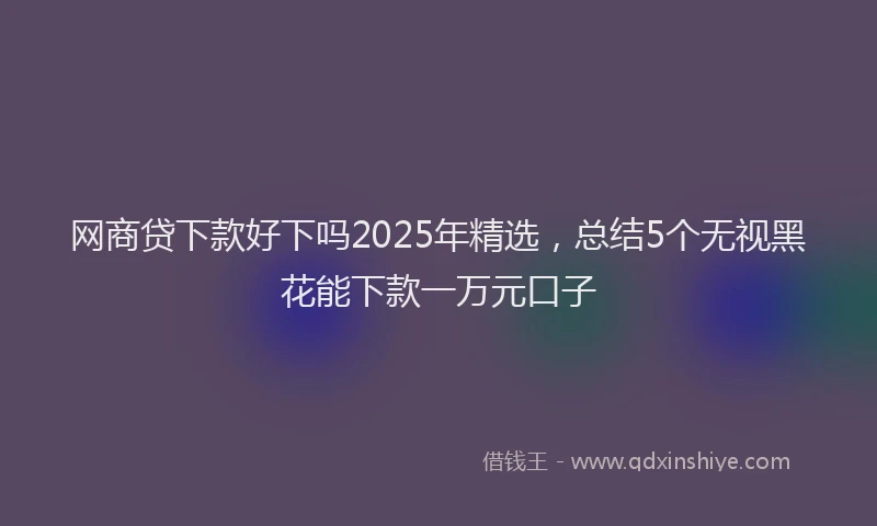 网商贷下款好下吗2025年精选，总结5个无视黑花能下款一万元口子