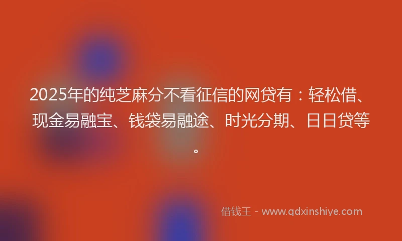 2025年的纯芝麻分不看征信的网贷有：轻松借、现金易融宝、钱袋易融途、时光分期、日日贷等。