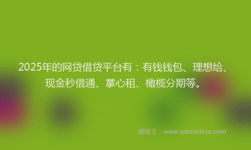 2025年的网贷借贷平台有：有钱钱包、理想给、现金秒借通、掌心租、橄榄分期等。