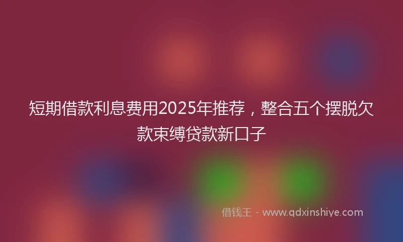 短期借款利息费用2025年推荐，整合五个摆脱欠款束缚贷款新口子