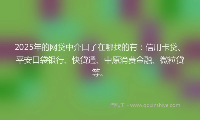 2025年的网贷中介口子在哪找的有：信用卡贷、平安口袋银行、快贷通、中原消费金融、微粒贷等。