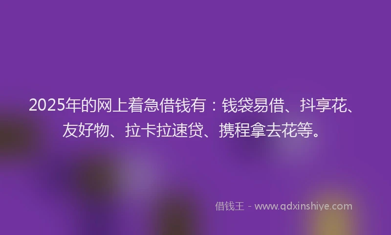 2025年的网上着急借钱有：钱袋易借、抖享花、友好物、拉卡拉速贷、携程拿去花等。