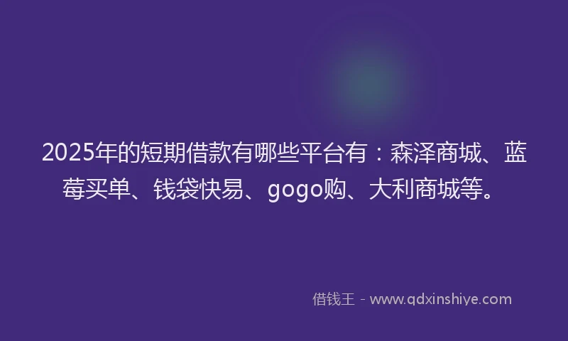 2025年的短期借款有哪些平台有：森泽商城、蓝莓买单、钱袋快易、gogo购、大利商城等。