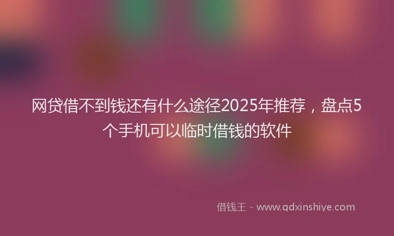 网贷借不到钱还有什么途径2025年推荐，盘点5个手机可以临时借钱的软件