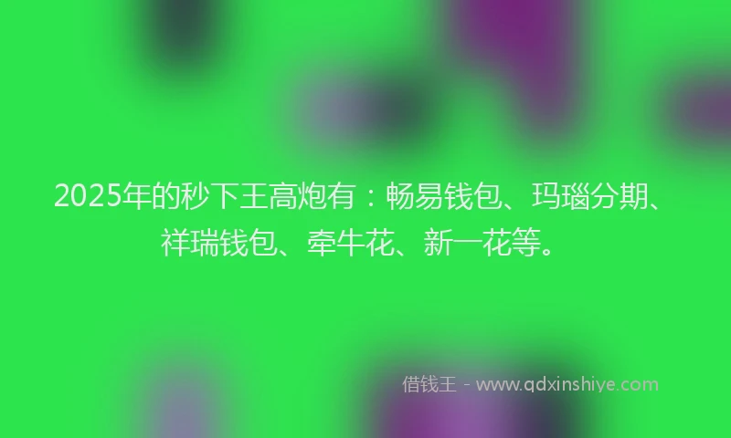 2025年的秒下王高炮有：畅易钱包、玛瑙分期、祥瑞钱包、牵牛花、新一花等。