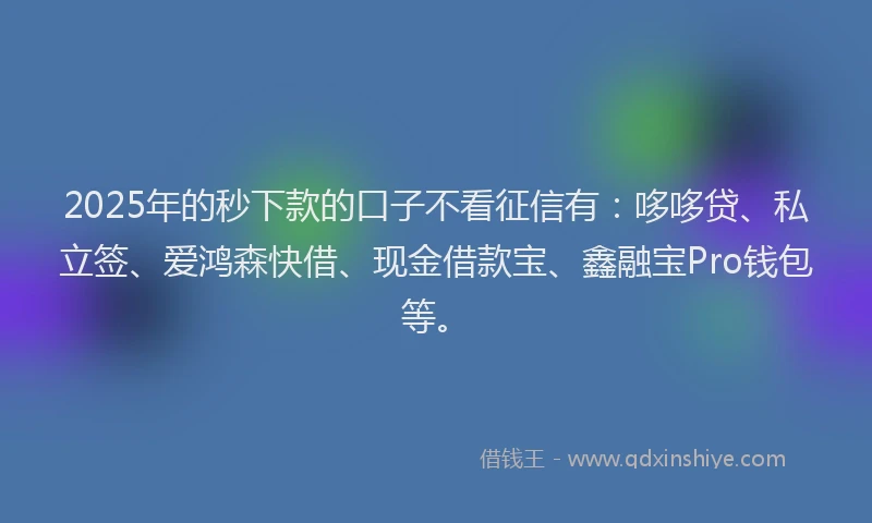 2025年的秒下款的口子不看征信有：哆哆贷、私立签、爱鸿森快借、现金借款宝、鑫融宝Pro钱包等。