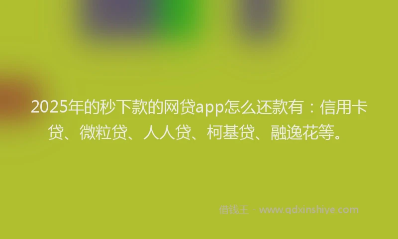 2025年的秒下款的网贷app怎么还款有：信用卡贷、微粒贷、人人贷、柯基贷、融逸花等。
