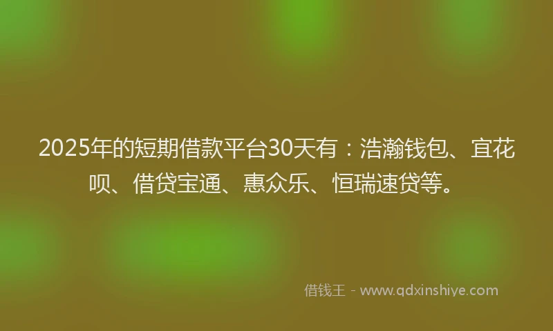 2025年的短期借款平台30天有：浩瀚钱包、宜花呗、借贷宝通、惠众乐、恒瑞速贷等。