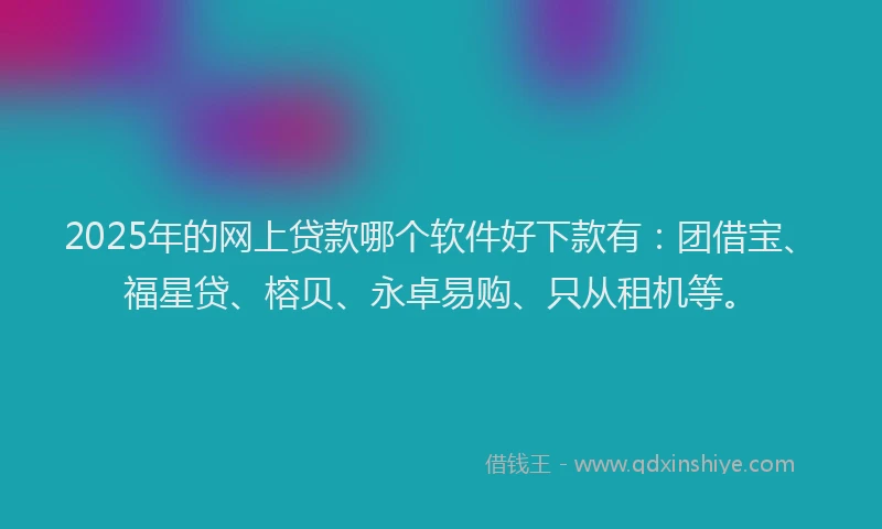 2025年的网上贷款哪个软件好下款有：团借宝、福星贷、榕贝、永卓易购、只从租机等。