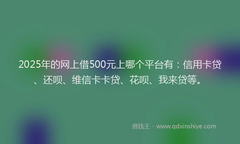 2025年的网上借500元上哪个平台有：信用卡贷、还呗、维信卡卡贷、花呗、我来贷等。