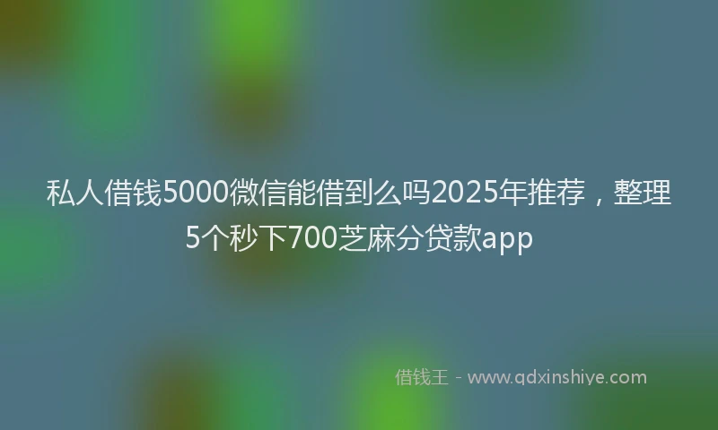 私人借钱5000微信能借到么吗2025年推荐，整理5个秒下700芝麻分贷款app