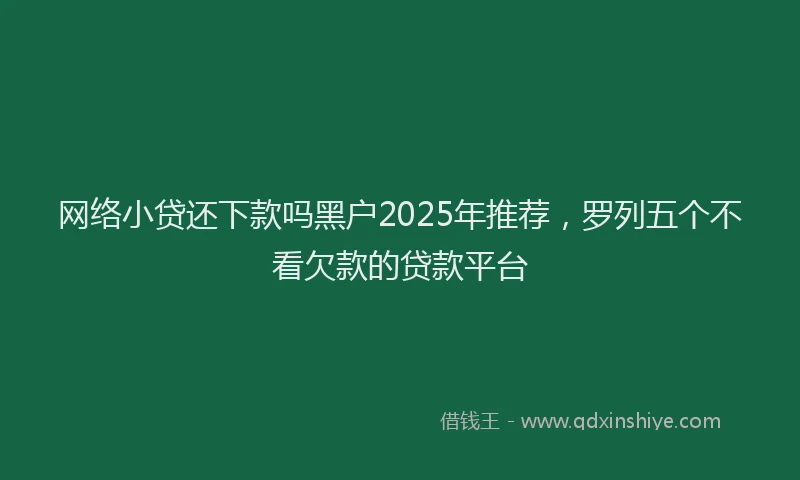 网络小贷还下款吗黑户2025年推荐，罗列五个不看欠款的贷款平台