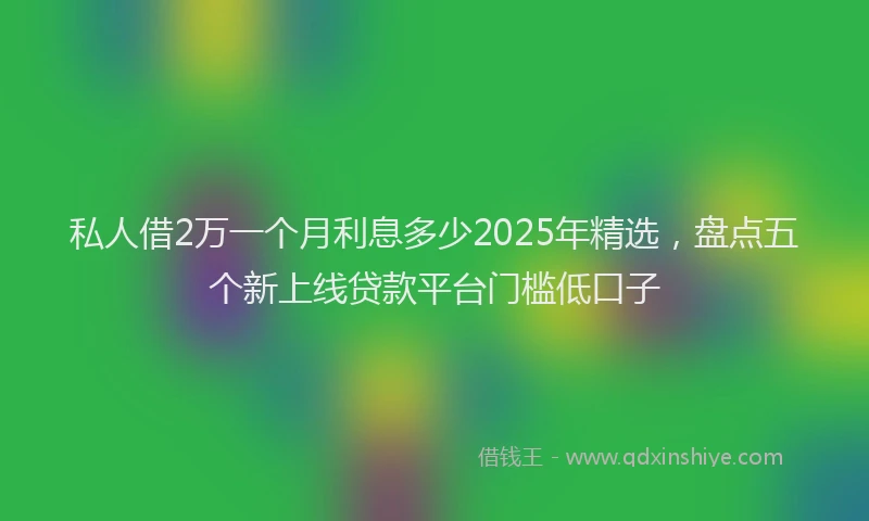 私人借2万一个月利息多少2025年精选，盘点五个新上线贷款平台门槛低口子
