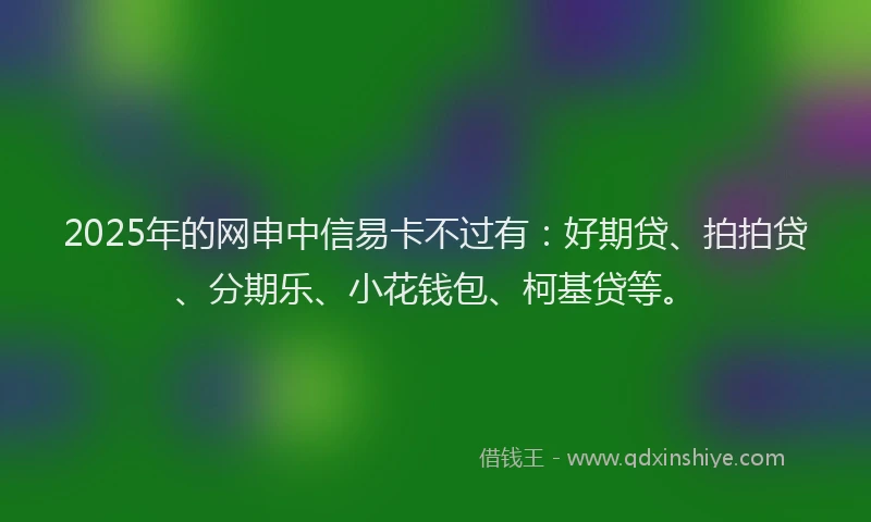 2025年的网申中信易卡不过有：好期贷、拍拍贷、分期乐、小花钱包、柯基贷等。