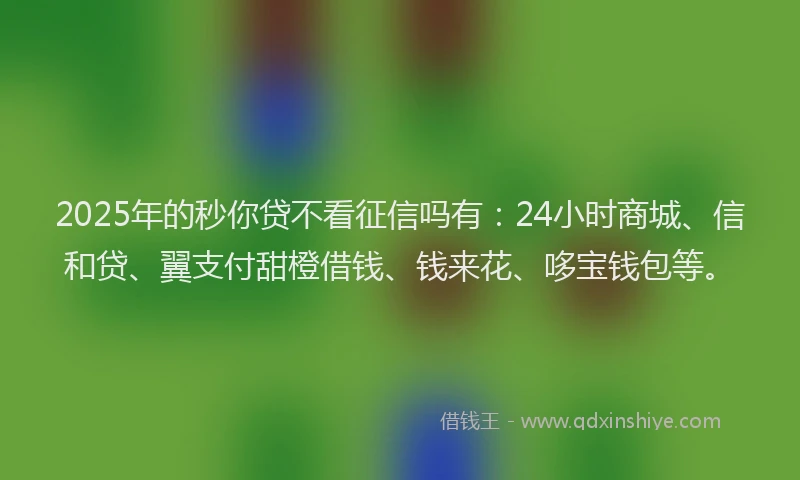 2025年的秒你贷不看征信吗有：24小时商城、信和贷、翼支付甜橙借钱、钱来花、哆宝钱包等。