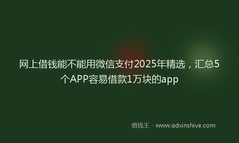 网上借钱能不能用微信支付2025年精选，汇总5个APP容易借款1万块的app
