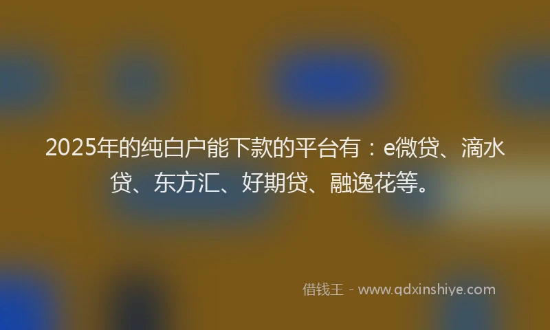 2025年的纯白户能下款的平台有：e微贷、滴水贷、东方汇、好期贷、融逸花等。