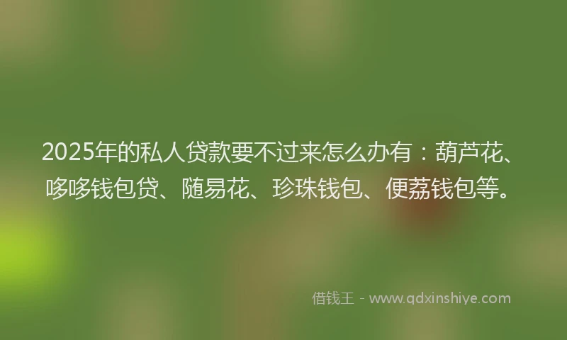 2025年的私人贷款要不过来怎么办有：葫芦花、哆哆钱包贷、随易花、珍珠钱包、便荔钱包等。