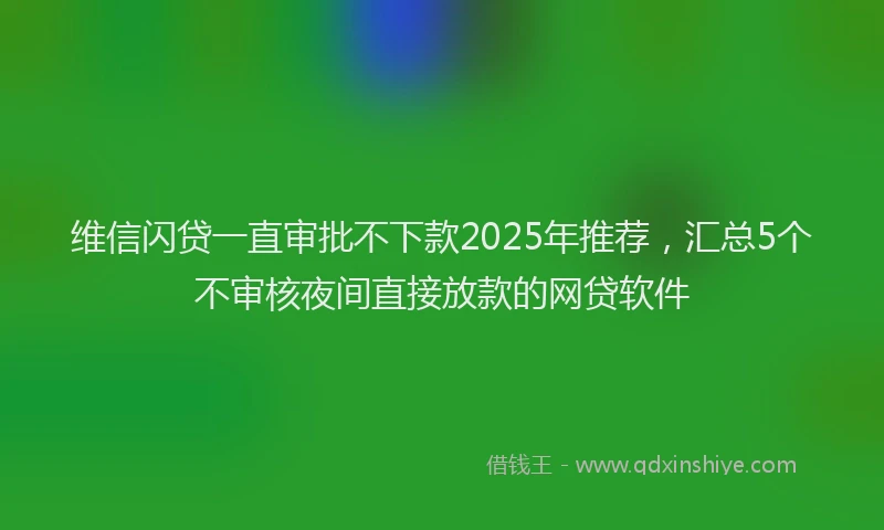 维信闪贷一直审批不下款2025年推荐，汇总5个不审核夜间直接放款的网贷软件
