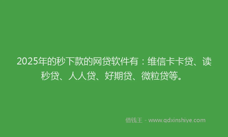 2025年的秒下款的网贷软件有：维信卡卡贷、读秒贷、人人贷、好期贷、微粒贷等。