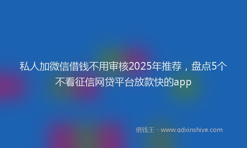 私人加微信借钱不用审核2025年推荐，盘点5个不看征信网贷平台放款快的app
