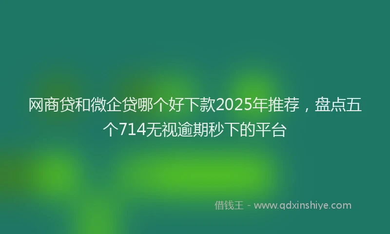 网商贷和微企贷哪个好下款2025年推荐，盘点五个714无视逾期秒下的平台