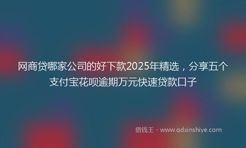网商贷哪家公司的好下款2025年精选，分享五个支付宝花呗逾期万元快速贷款口子