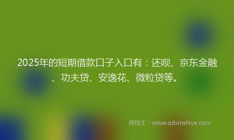 2025年的短期借款口子入口有：还呗、京东金融、功夫贷、安逸花、微粒贷等。